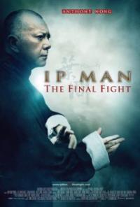 Yip Man: Jung gik yat jin (2013) movie poster