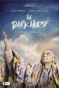 The Dark Horse (2014) movie poster