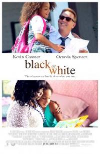 Black or White (2014) movie poster