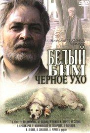 Belyy Bim Chernoe ukho (1977) movie poster