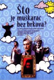 Sto je muskarac bez brkova? (2005) movie poster