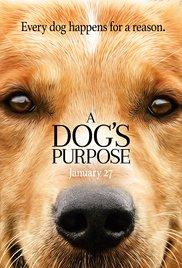 A Dog's Purpose (2017) movie poster