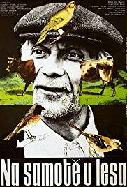 Na samote u lesa (1976) movie poster