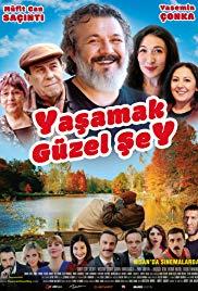 Yasamak Guzel Sey (2017) movie poster