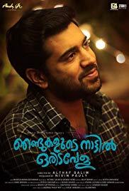 Njandukalude Naattil Oridavela (2017) movie poster
