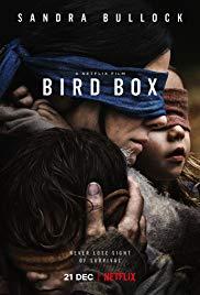 Bird Box (2018) movie poster