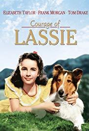 Courage of Lassie (1946) movie poster
