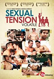 Sexual Tension: Volatile (2012) movie poster