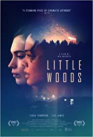 Little Woods (2018) movie poster