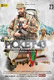 Picket 43 (2015) movie poster