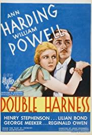 Double Harness (1933) movie poster
