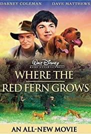Where the Red Fern Grows (2003) movie poster