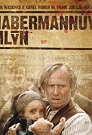 Habermann (2010) movie poster