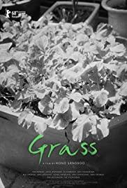Grass (2018) movie poster