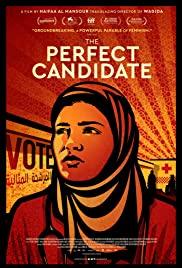 The Perfect Candidate (2019) movie poster