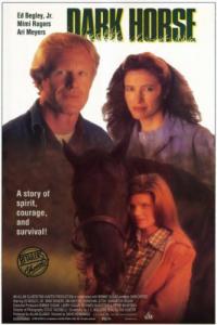 Dark Horse (1992) movie poster